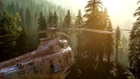 old-rusted-military-helicopter-in-the-mountain-forest-at-sunrise